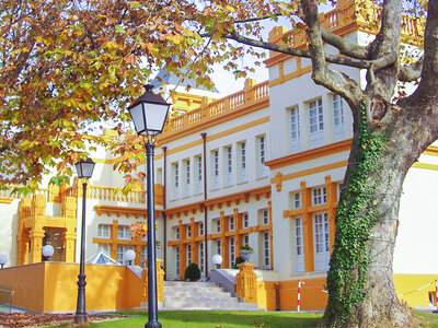 Caja Escapada romántica: 1 noche en el Hotel Arcea Palacio de las Nieves 4*