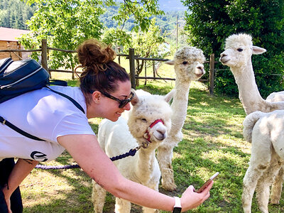 Visita agli alpaca in famiglia: picnic e souvenir per 2 adulti e 1 bambino