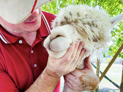 Cofanetto Picnic con gli alpaca in Toscana