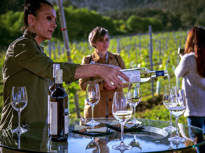 Caja regalo Bodegas Terras Gauda: visita con cata para 2 personas