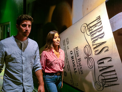 Bodegas Terras Gauda: visita con cata para 2 personas
