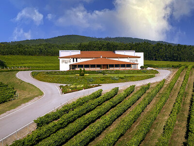 Caja Bodegas Terras Gauda: visita con cata para 2 personas