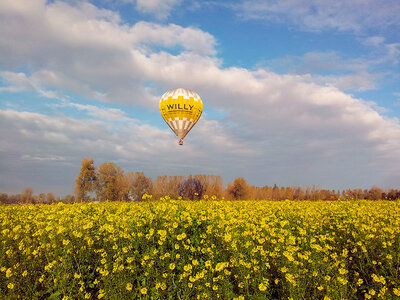 Coffret cadeau Vol en montgolfière et champagne au-dessus des Ardennes pour 2