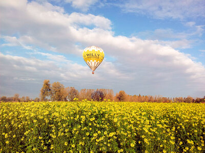 Coffret cadeau Vol en montgolfière et champagne à Genk pour 1 personne