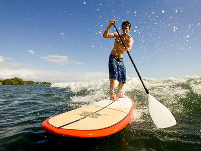 Doos Waterpret in Nederland