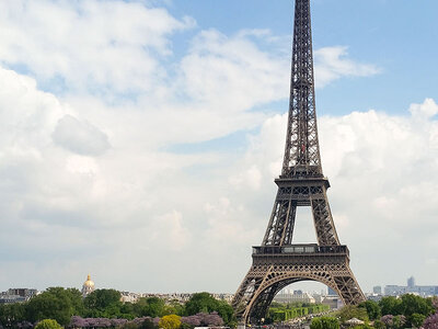 Paris en duo : sommet de la tour Eiffel et croisière sur la Seine pour 2