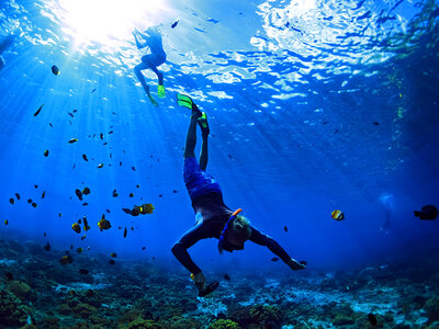 Coffret cadeau Randonnée palmée snorkeling en famille avec verre de l'amitié au départ d'Ajaccio