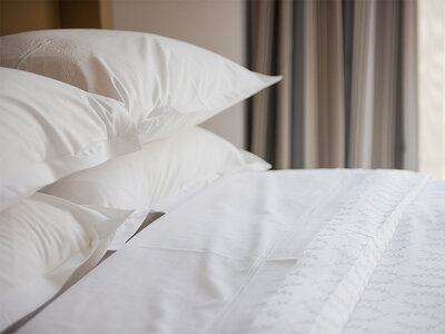 Box 2 Tage im grünen Ambiente des Kantons Graubünden in einem 4-Sterne-Hotel in Flims