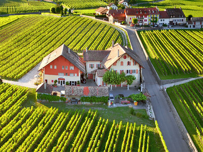 Dégustation de vins pour 2 et visite de caves entre Genève et Lausanne avec bouteille offerte