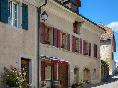 Coffret Dégustation de 4 vins pour 2, visite guidée des caves et bouteille à emporter dans le vallon de l'Aubonne