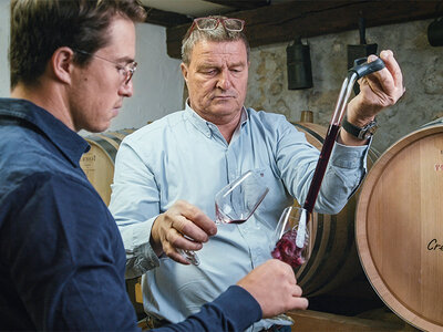 Coffret cadeau Dégustation de 11 vins, visite des caves, collation et bouteille offerte à Gilly