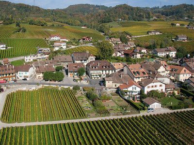 Coffret cadeau Visite de caves à vin à Tartegnin avec dégustation et 3 bouteilles de vin