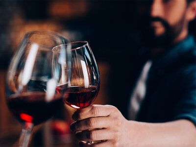 Visite de caves à vin à Tartegnin avec dégustation et 3 bouteilles de vin