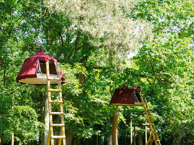 Coffret cadeau Escapade insolite en tente suspendue avec activités Aventure en Normandie