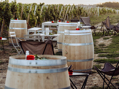 Visite et dégustation de vins en duo près de Versailles