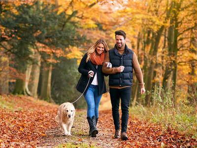 Cadeaubon 2-daagse in Nederland met je hond