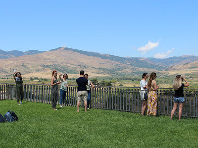 Tra le vigne dell'Etna: visita a una cantina con degustazione vini siciliani