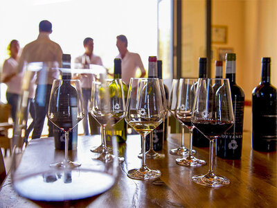 Cofanetto regalo Tra le vigne dell'Etna: visita a una cantina con degustazione vini siciliani
