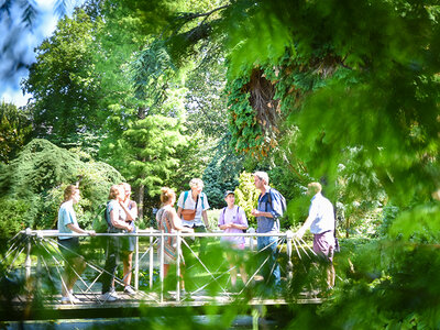 Doos Bosbaden met theeceremonie in Rotterdam voor 1 persoon