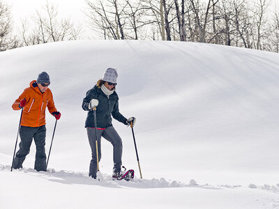 Cofanetto Tour dell'igloo, racchette da neve e fonduta per 2 persone a Gstaad