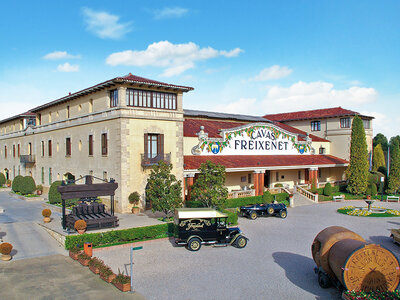 Caja regalo Amantes del vino, ¡feliz cumpleaños!