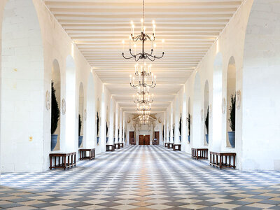 Coffret cadeau Visite du château de Chenonceau : billets pour 1 adulte et 1 enfant