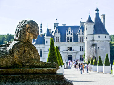 Coffret Visite du château de Chenonceau : billets pour 1 adulte et 1 enfant