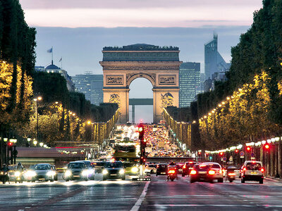 Entrée adulte pour l'arc de Triomphe avec accès à la terrasse panoramique