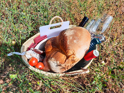 Caja Bodega Mas Blanch i Jove: visita a la bodega y cata de vinos y aceites