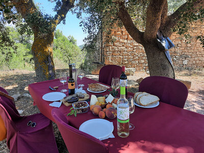 Caja regalo Bodega Mas Blanch i Jove: visita a la bodega y cata de vinos y aceites