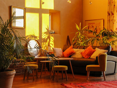 2h d’accès au spa dans un gîte entre Toulouse et Montauban