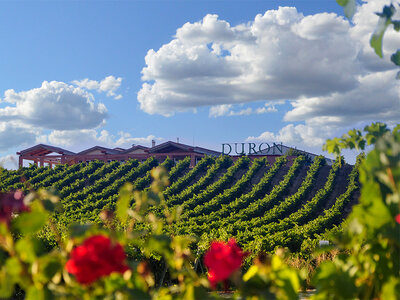 Cata de vinos, aperitivo y visita para 2 personas en Bodegas Durón