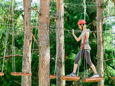 Emozionante arrampicata tra gli alberi: ingresso di 3h al parco avventura per 2