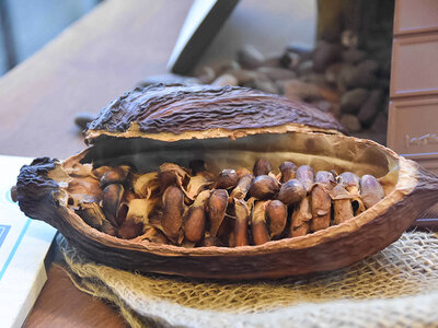 Coffret Visite gourmande de Berne avec dégustation de chocolat pour 2