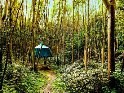 Coffret Séjour insolite de 2 jours en tente suspendue près de Compiègne