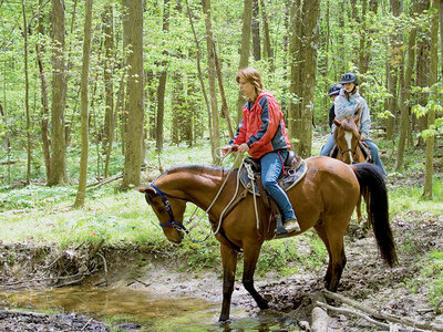 Querida hermana, ¡felices Reyes!