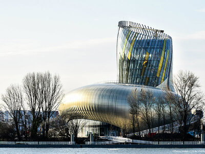 Coffret Billets coupe-file pour la Cité du Vin de Bordeaux pour 1 adulte et 2 enfants