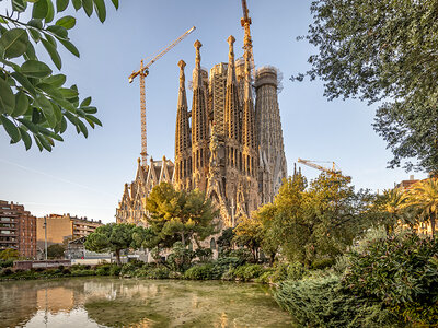 Caja 3 entradas a la Sagrada Familia con audioguía, acceso rápido y acceso a torre