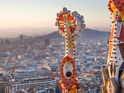 3 entradas a la Sagrada Familia con audioguía, acceso rápido y acceso a torre