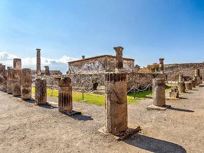 Giovani esploratori a Pompei: 1 ingresso per 1 bambino