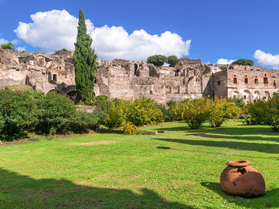 Cofanetto Ingresso riservato a Pompei per 2