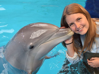 Coffret cadeau Rencontre avec les dauphins avec 1 photo et accès au Boudewijn Seapark à Bruges pour 1 personne