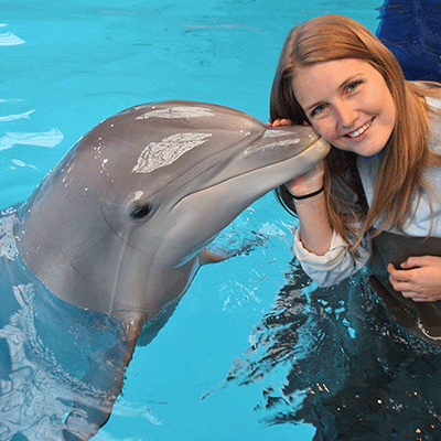 Dauphins Dans Une Illustration De Bouteille En Verre | Vecteur Premium
