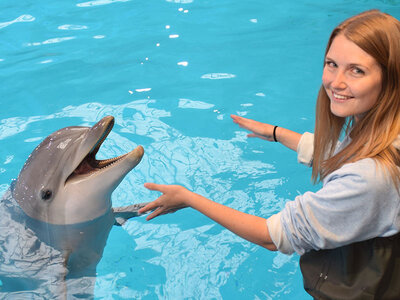 Coffret cadeau Rencontre avec les dauphins avec 4 photos et accès au Boudewijn Seapark à Bruges pour 1 personne