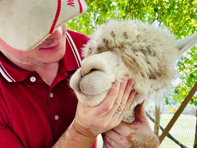 Cofanetto Gita in fattoria con gli alpaca per tutta la famiglia