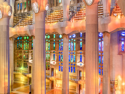 Tour Gaudí y Sagrada Familia: 1 entrada de adulto y 1 de niño
