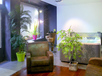 Coffret Massage relaxant avec accès bain bouillonnant pour 2 personnes à Nîmes