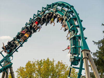 Journée fun : 1 entrée enfant 2024 pour le parc Walibi Rhône-Alpes