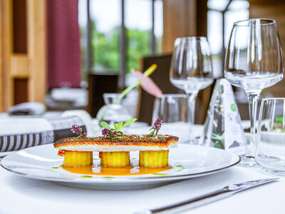 2 jours avec dîner et accès au spa dans les Vosges