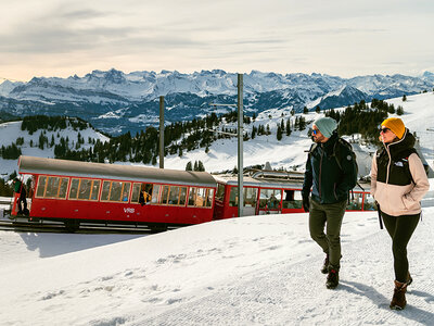 Coffret cadeau 2 billets pour une excursion sur le mont Rigi